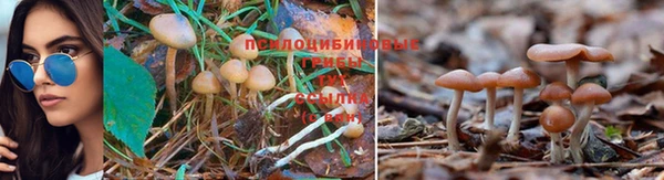 синтетический гашиш Гусь-Хрустальный