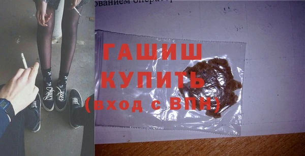 стафф Гусев