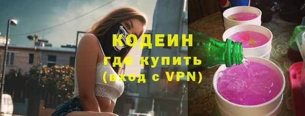 стафф Гусев