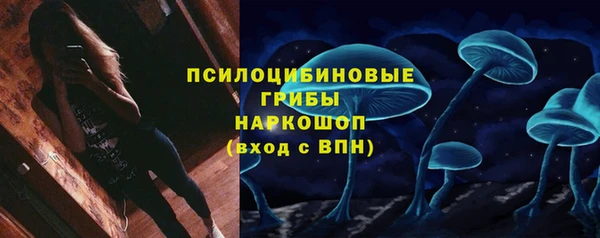 стафф Гусев