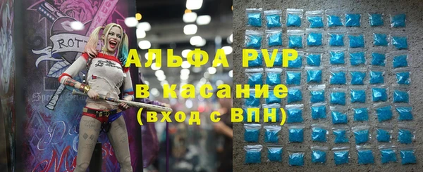 стафф Гусев