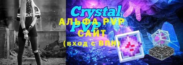 стафф Гусев