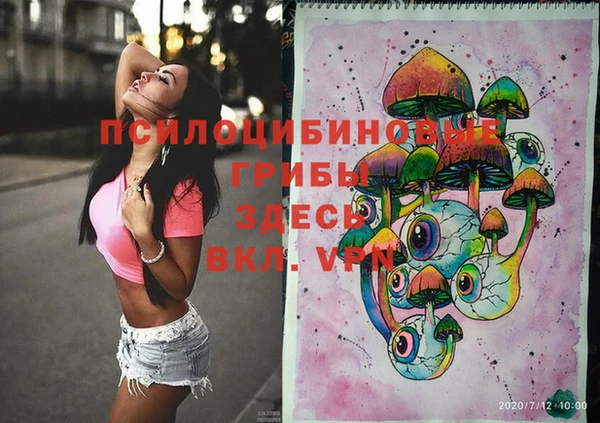 стафф Гусев