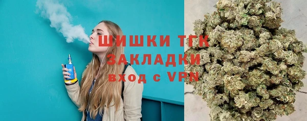 стафф Гусев