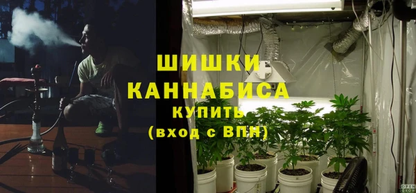 стафф Гусев