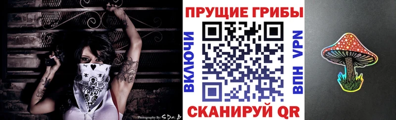 Галлюциногенные грибы Psilocybe  Купить  Светлоград 