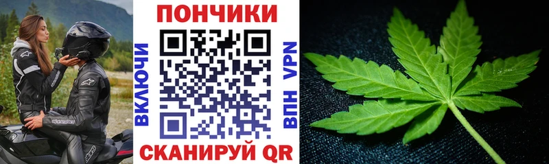 Канабис Amnesia  Купить закладки  Светлоград 